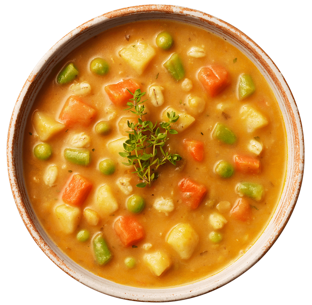 CB Soup Bowl Winter Veg RGB